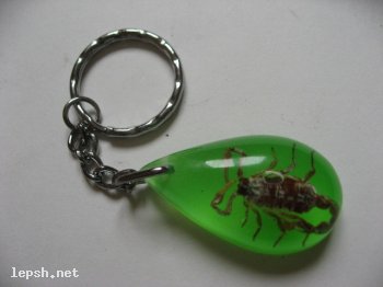 Меняю - Брелок скорпион (светится в темноте)