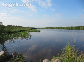 Меняю - Участок земли,Псковская обл.Усвятский р-н.дер.Люшково.