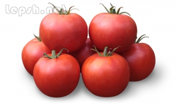 Продаю - Семена томата KS 835 F1 (Китано)