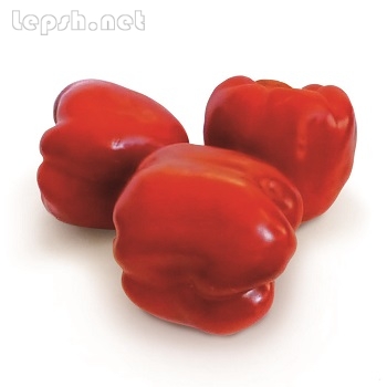 Продаю - Семена сладкого перца KS 04 F1 фирмы Китано