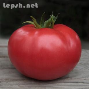Продаю - Семена розового томата Kibo F1 / Кибо F1 (Китано)