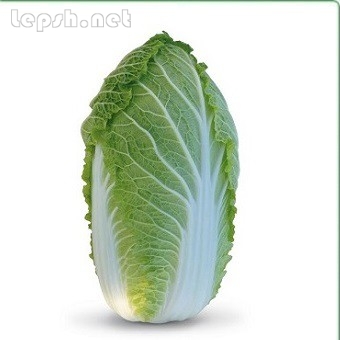 Продаю - Семена пекинской капусты KS 340 F1 (Китано)