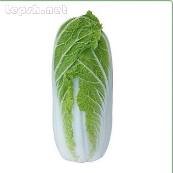 Продаю - Семена пекинской капусты KS 374 F1 (Китано)