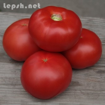 Продаю - Семена розового томата Kibo F1 / Кибо F1 (Китано)