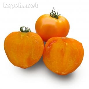 Продаю - Семена оранжевого томата Айсан (KS 18 F1) фирмы Китано
