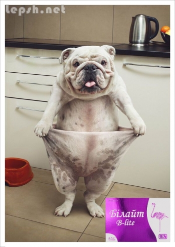 Продаю - Билайт для похудения капсулы Оригинал