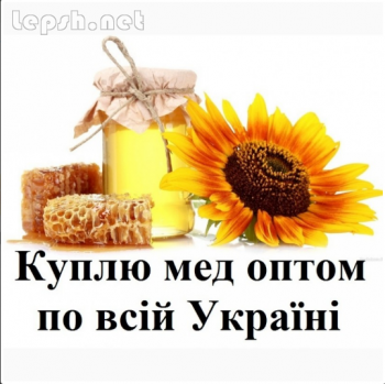 Продаю - Куплю мед, закупка меду оптом,вся Україна!