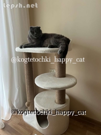 Продаю - Нерухомість для ваших котиків