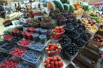 Продаю - Холодильна та морозильна камери для Заморозки малини і суниці