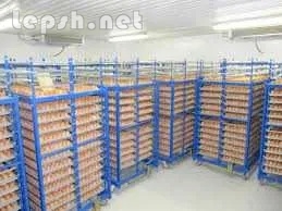 Меняю - Холодильна камера Тривалого зберігання яєць (встановлення під ключ)